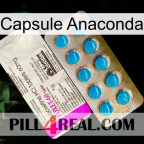 Anaconda Capsule new07